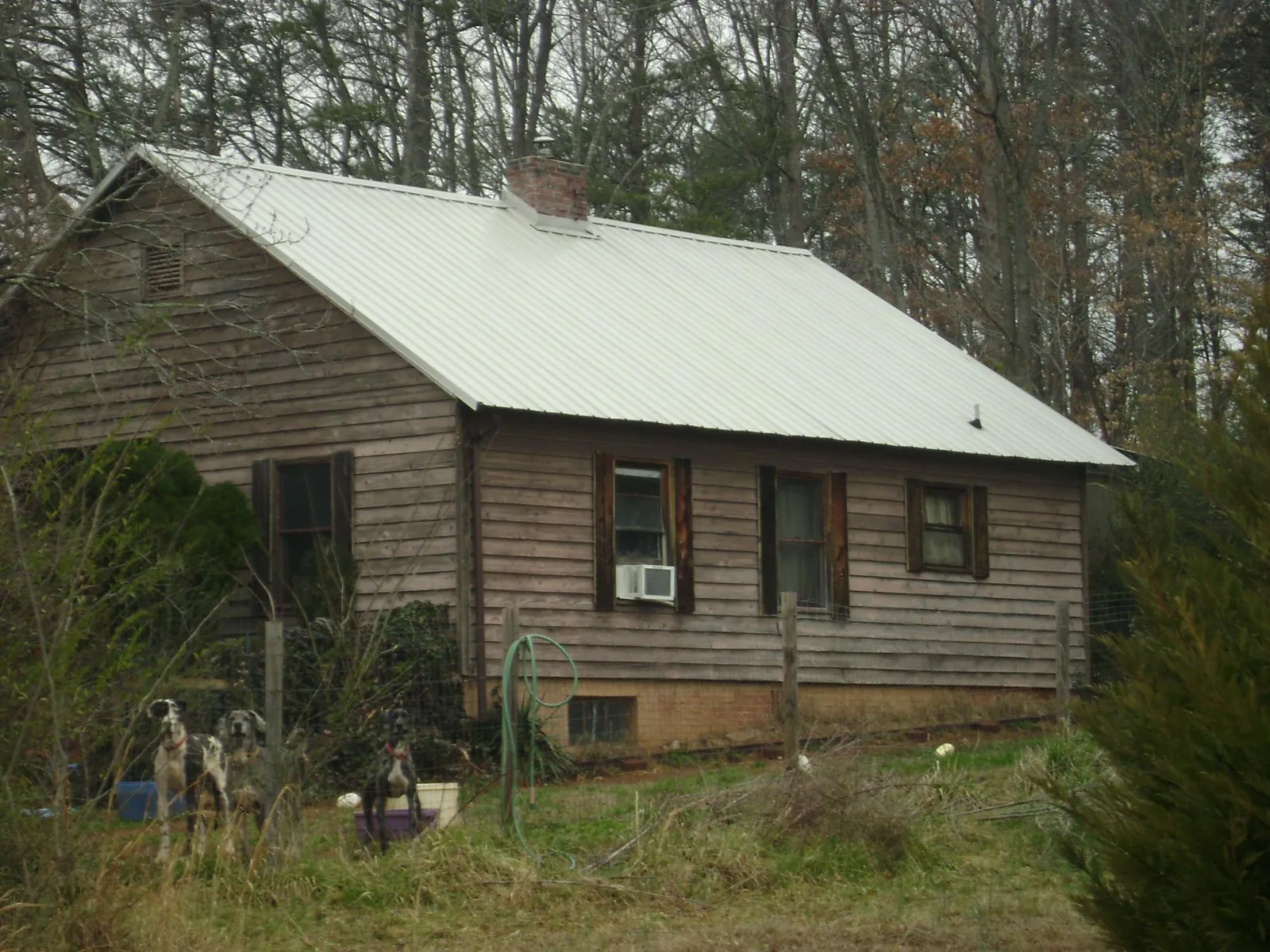 White metal roof on an old wood sided farmhouse, from a Metal Roof Installation job in Alcalde